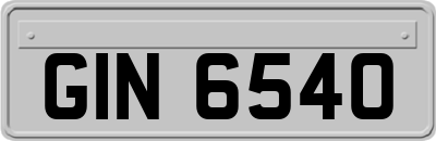 GIN6540