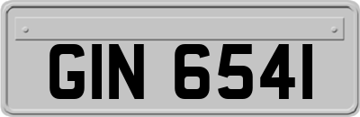 GIN6541