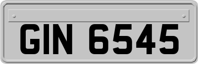 GIN6545