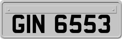 GIN6553
