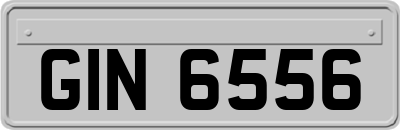 GIN6556