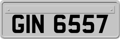 GIN6557