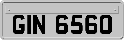 GIN6560
