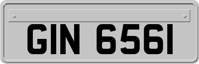 GIN6561