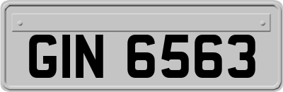 GIN6563