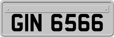 GIN6566