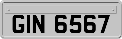 GIN6567