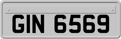 GIN6569