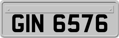 GIN6576