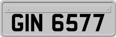 GIN6577