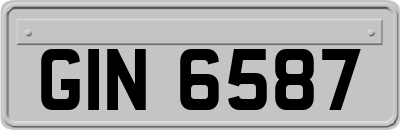 GIN6587