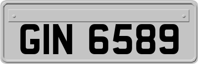 GIN6589