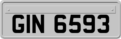 GIN6593