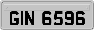 GIN6596