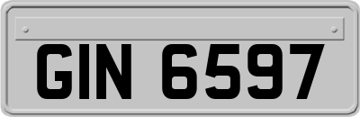 GIN6597