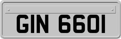 GIN6601