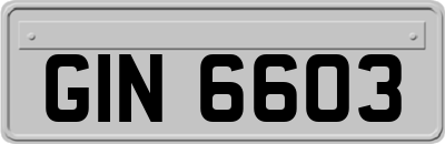 GIN6603