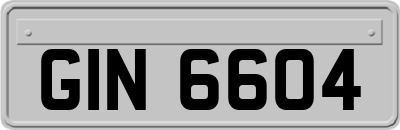 GIN6604
