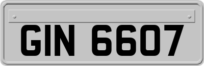 GIN6607