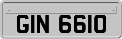 GIN6610