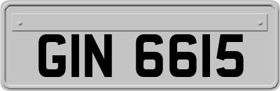 GIN6615