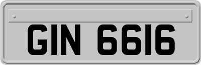 GIN6616