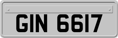 GIN6617
