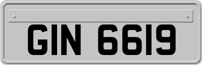 GIN6619