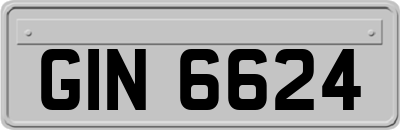 GIN6624