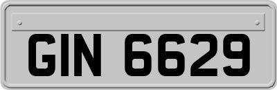 GIN6629