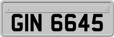 GIN6645