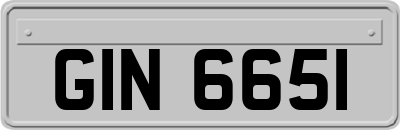 GIN6651
