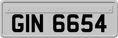 GIN6654
