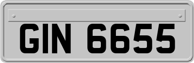 GIN6655