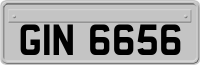 GIN6656
