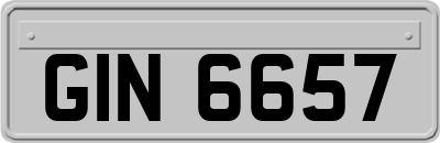 GIN6657