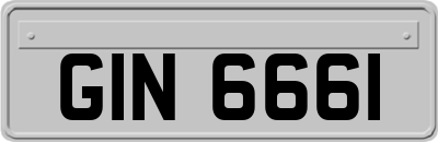 GIN6661