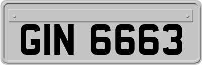 GIN6663