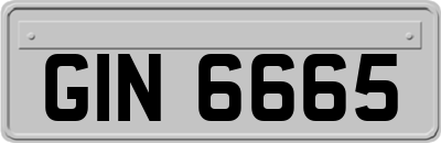 GIN6665