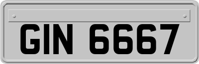 GIN6667