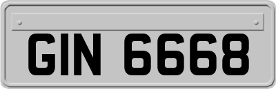 GIN6668