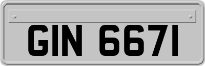 GIN6671