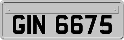 GIN6675