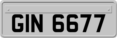 GIN6677