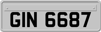 GIN6687