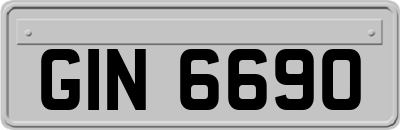 GIN6690