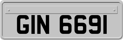 GIN6691
