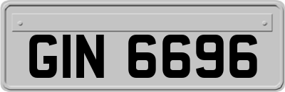 GIN6696