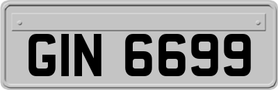 GIN6699