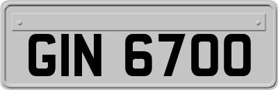 GIN6700